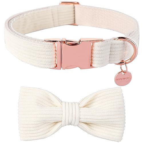 DOGWONG Corduroy Dog Collar with Bowtie