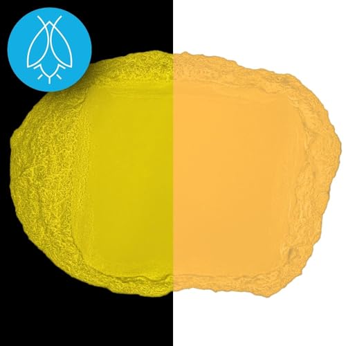 Glow in The Dark Pigment Powder - Neutral and Fluorescent Color for Art Painting, Fine Art, Nail Art Paint, and DIY Crafts - Long Lasting, 10+ Color Options - Fluorescent Orange - (12 Grams/ .42oz)