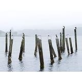 Colin Old Pier Salen Isle Mull Scotland Photo Large Wall Art Poster Print Thick Paper 18X24 Inch