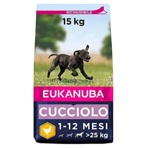 Eukanuba, Cibo Secco per Cani Cuccioli, Taglia Grossa, 1-24 Mesi, Crocchette Cani con Pollo, 15 Kg