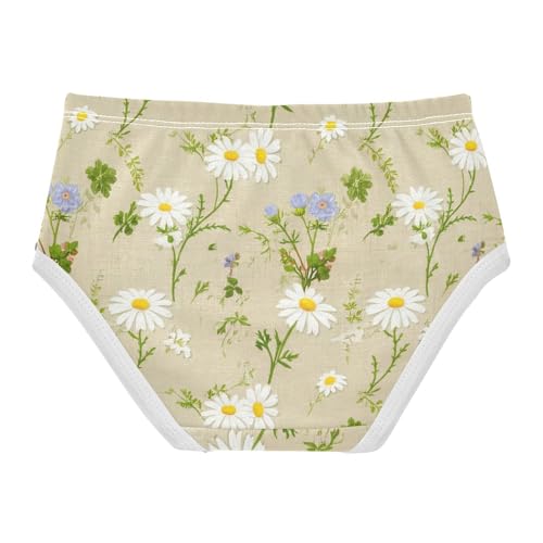 Vintage White Daisies Wildflowers Cute Panties Girl Girls Underwear Toddler Cotton Durable Kids Briefs Undies 2t2