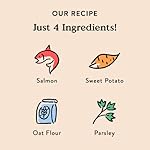 Bocces-Bakery-Fish-Chips-Treats-for-Dogs-Special-Edition-Wheat-Free-Dog-Treats-Made-with-Real-Ingredients-Baked-in-The-USA-All-Natural-Salmon-Sweet-Potato-Biscuits-5-oz