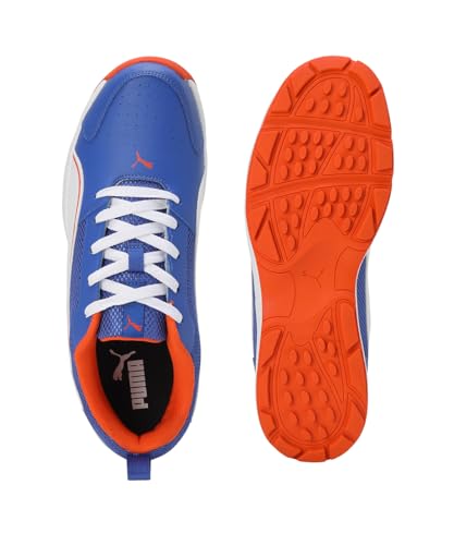 Image of Puma Men Cricket HighRun Cricket Shoe