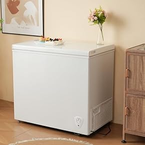 Amazon.co.jp: チェストフリーザー - 冷凍庫: 大型家電