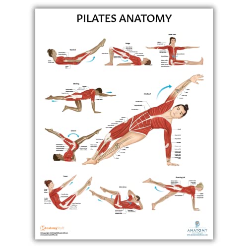 Image of Anatomy Lab Stretching and Pilates Anatomy Posters Set | 2 PACK LAMINATED, 17.3 x 22.5 Inches, Body Chart