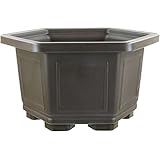 Günstige Preise durch Direktimport und Onlineverkauf