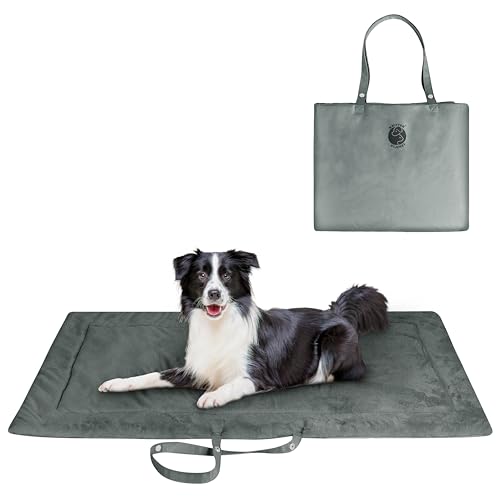 Kritter Planet wasserdichte Katze Hundematte, Faltbare Waschbare Haustier Outdoor Hundedecke für Reisen Camping Outdoor, Faltbare Haustiermatte mit Griffen, Kleine Mittlere Hundebettdecke 127 x 70CM