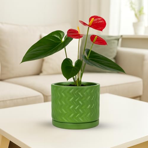 Image of Urban Plant Terracotta Pot with Saucer - Trendy Planter for Modern Home & Garden Spaces (Fresh Breath Terracotta Pot - Zigzag)
