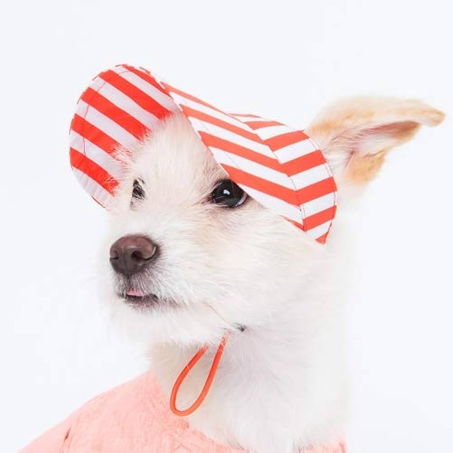 犬用帽子 犬用 帽子 ドッグハット 熱中症対策 日射病 耳穴あり 紫外線 春
