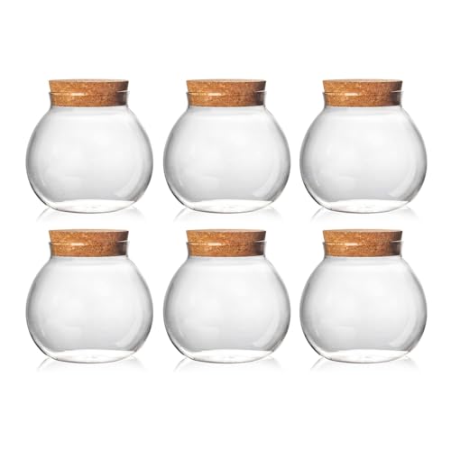 Aurfedes Set of 6 round glass jars with cork lid