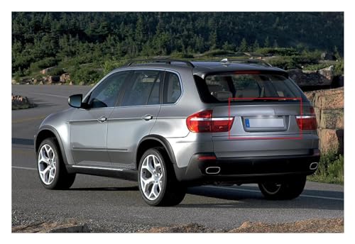 Luces de matrícula LED Canbus para BMW X3 E83 2003-2011 y X5 E53 color blanco 5