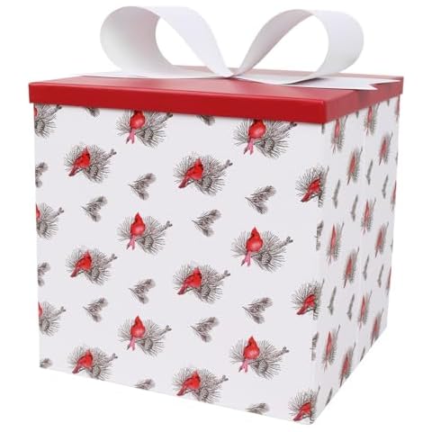 BIOBROWN Medium Christmas Gift Boxes with Lids for Presents, 9x9x9 Inches Cardinal Floral Design Collapsible Gift Box for Christmas, Party, Holidays Cover