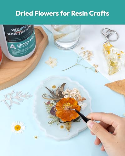 Image of Dried Flowers, Resiners 100Pcs Pressed Flowers for Craft Real Natural Dried Flowers Dry Leaves Kit for DIY Making Crafts Resin Soap Candle Scrapbook Supplies Jewelry Making