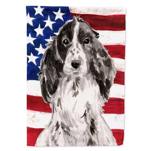 Drapeau grand format Caroline's Treasures BB9378CHF pour mât résidentiel
