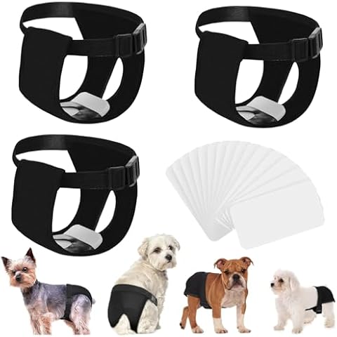 3Pcs Adjustable Dog Nappy with Spare Pads Cover