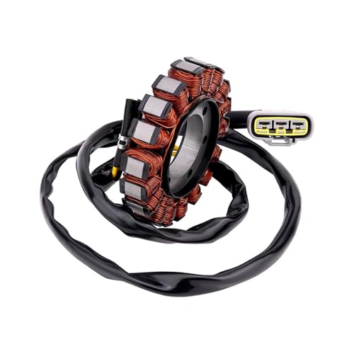 Bobina del estator para solucionar fallos de carga en moto S1000RR y M1000R 6