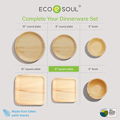 Eco Soul 100% Compostable 8 Inch Square Palm Leaf Plates [50-Pack] I Premium Disposable Plates Set I Heavy Duty Eco-Friendly Bamboo Plates Disposable I Square Disposable Plates #TOP7