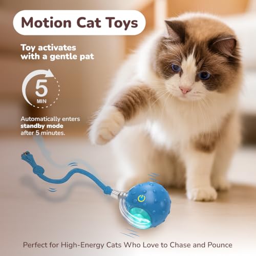 Juguete de juego inteligente activado por movimiento con sonidos de chirping 3