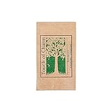 Garcia de Pou 500 Einheit Feel grün Kraft Sachet für Zahnpasta, Papier, natur, 27,5 x 21,5 x 8 cm