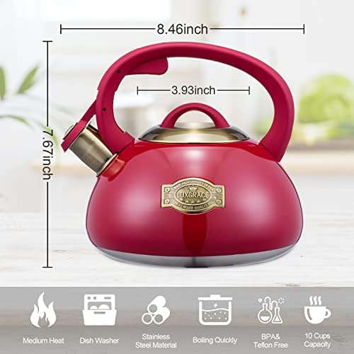 Whistling Tea Kettle Stainless Steel Teapot, Teakettle for Stovetop Induction Stove Top, Fast