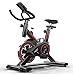 NYANGLI Bicicleta De Ejercicio,Bicicleta De Fitness Cubierta,Bicicleta De Ejercicio Profesional Ajustable con Pantalla LCD,Equipo De Entrenamiento De Entrenamiento Cómodo Cojín Sillín…
