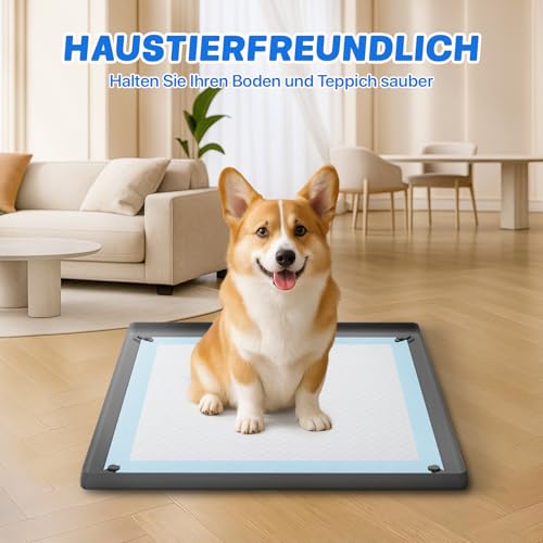 Pawinner 40-teiliges PIPI Matten für Hunde Set Con Silikonmatte, 62 X 62 cm rutschfeste Trainingspads für Hunde, Auslaufsicheres 5-Lagiges, Saugstarke Welpen Unterlagen, Schnell Trocknender