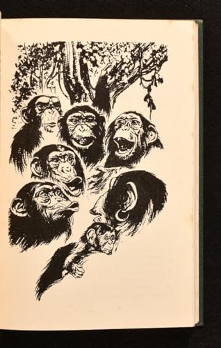 Oworo 0192710834 Book Cover