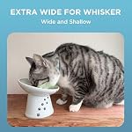 Necoichi Elevated Cat Food Bowl, Ceramic (Porcelain),15° Tilted, Whisker-Friendly, Dishwasher, Microwave Safe, Non-Slip, Anti-Vomiting, Neck Fatigue (Extra Wide Tilted, 1.5-Cup Capacity) - Image 4