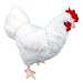 ADORE 12" Standing Betty the Hen Chicken Plush Stuffed Animal Toy