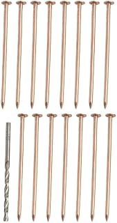 Daaxing Clavos de cobre para matar árboles de 4 pulgadas con broca, juego de puntas de eliminación de raíces de tocones, clavos de cobre para eliminar tocones y raíces (15 piezas)