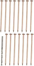 4 Inch Copper Tree Killer Nails with Drill Bit Set Stump Root Removal Tips Copper Nails for Stump and Root Remover (15 Pcs)
