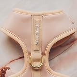 Dog Harness Beige Gold Neoprene Leather Design Sport Small Medium Large Dog Cat No Pull Breathable L