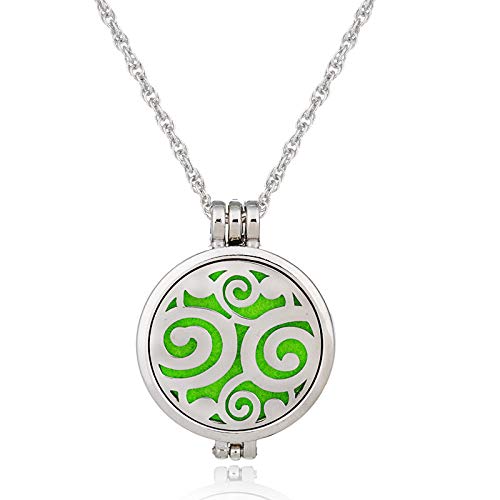 Preisvergleich Produktbild Aromatherapie-Anhänger Aromatherapie-Foto-Kasten-Halsketten-... Edelstahl-Diffusor-Anhänger