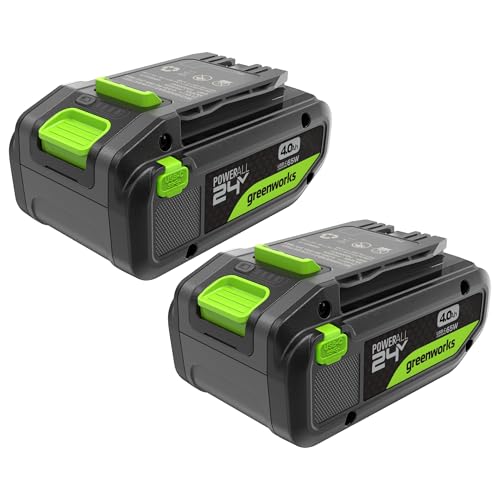Greenworks TwinPack 24V 4Ah High Power USB-C Battery suitable for all 200+ Greenworks 24V devices 2-year warranty - K2D8NNA