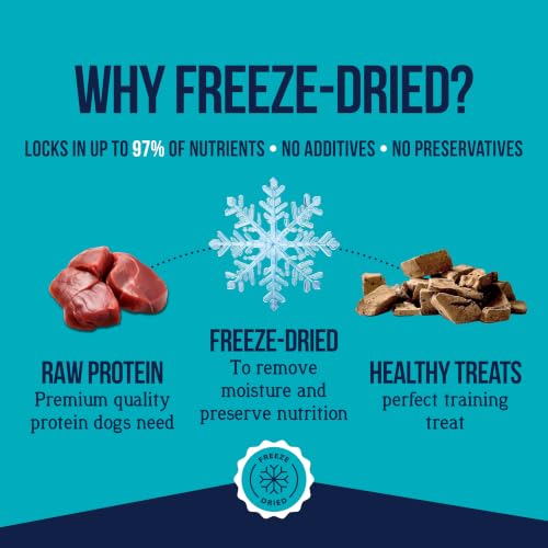 Stewart 100% Beef Liver Dog Treats, 21 oz Tub, ~475 Pieces, Freeze Dried Raw, 50% Protein, Single Ingredient Training Treats or Meal Topper, Grain Free, Gluten Free
