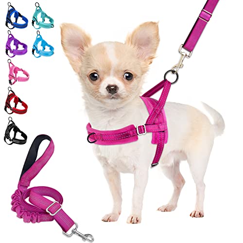 Eyein Small Dog Harness & Lead
