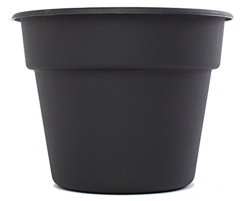 Bloem DC2000-6 6-Pack Dura Cotta Planter, 20-Inch, Black