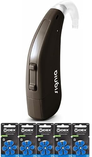 シーメンス シグニア 補聴器 FUN SP ディープブラウン 電池5パック付 高度 重度難聴 小型 簡単 目立たない