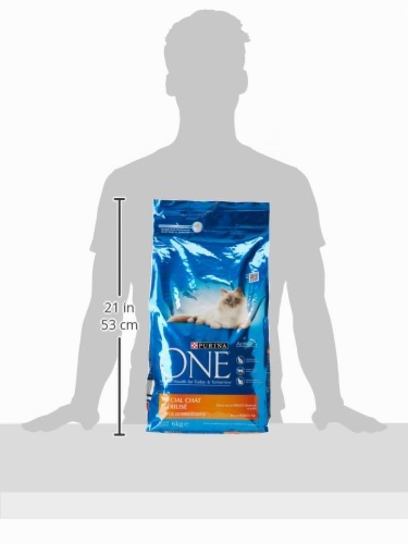 Purina One Spécial Chat Stérilisé Au Poulet Et Au Blé Croquettes pour Chat Adulte, 6kg
