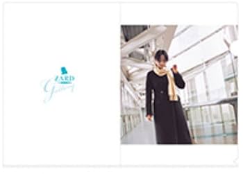 Amazon.co.jp: ZARD（ザード）坂井泉水 クリアファイル「N