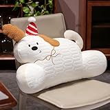 XFNWT Almohada de Lectura de látex de Seda de Hielo para sofá, Respaldo, Soporte Lumbar para Adultos, Alivio del Dolor Lumbar, cojín Lumbar Desmontable para Ver televisión, Jugar,White-65 * 43CM