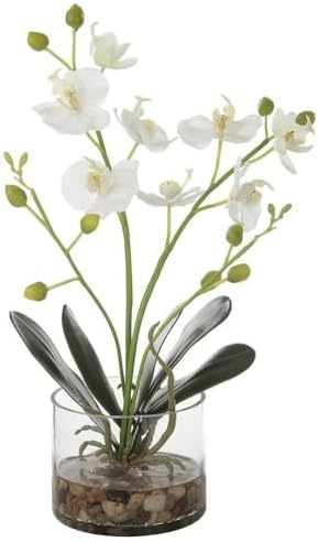 Uttermost Glory - Orchid-15.75 Inches Tall and 12 Inches Wide