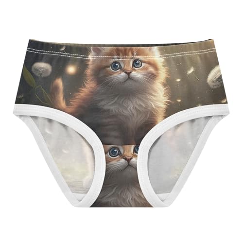 Cute Brown Kitten Cat Toddler Underwear Floral 2t Cotton Panties Little Girl Designer Briefs Undies Kids