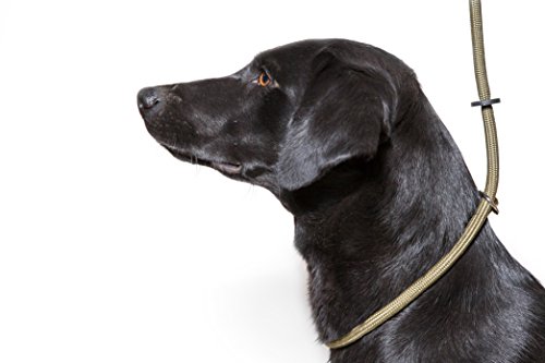 Dog & Field Deluxe Gundog Slip Lead - Green. Super Soft Braided Nylon Slip Lead For Dogs With Rubber Stopper Easy To Slip On No Collar Or Harness Needed.
