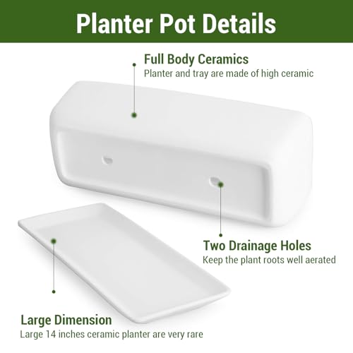 Image of MyGift 14 Inch Ceramic Indoor Plant Pot with Drainage Hole, Rectangular Succulent Planter Window Box with Removable Saucer, Unglazed White (Pack of 2)
