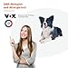GenoLine Inhalationsallergene Test Hund (Allergie Test Standard)