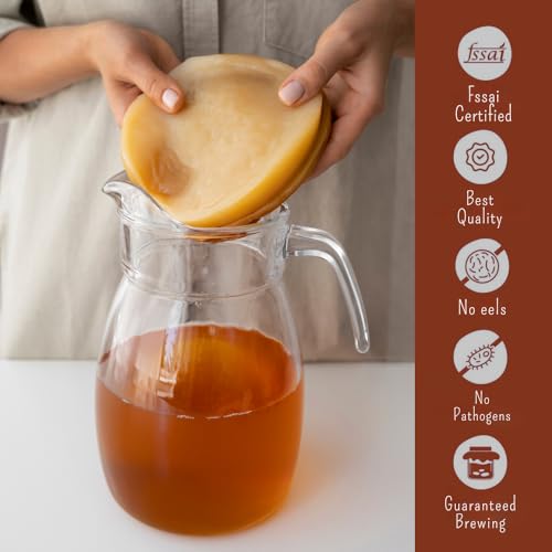 Image of Earthy Leaf | Kombucha SCOBY with Starter Tea