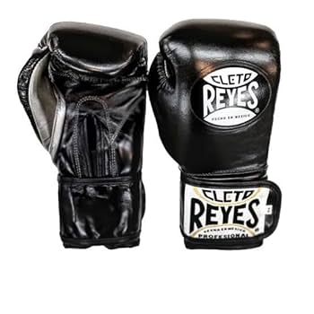 Amazon.co.jp: レイジェス Reyes ボクシンググローブ 10オンス