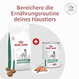 Royal Canin Diabetic Trockenfutter für Hunde - Bei Diabetes mellitus 12 kg