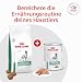 Royal Canin Diabetic Trockenfutter für Hunde - Bei Diabetes mellitus 12 kg
